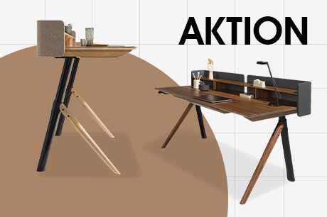 Schreibtisch Pisa von Team 7