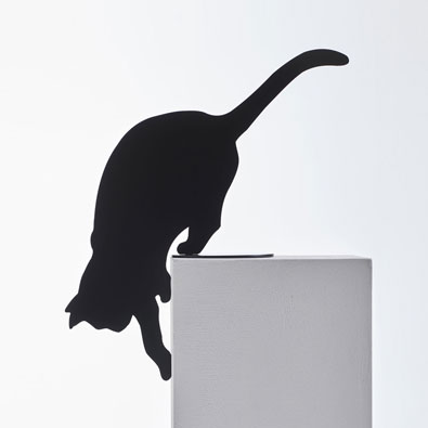 Opinion Ciatti Ombres Des Chats